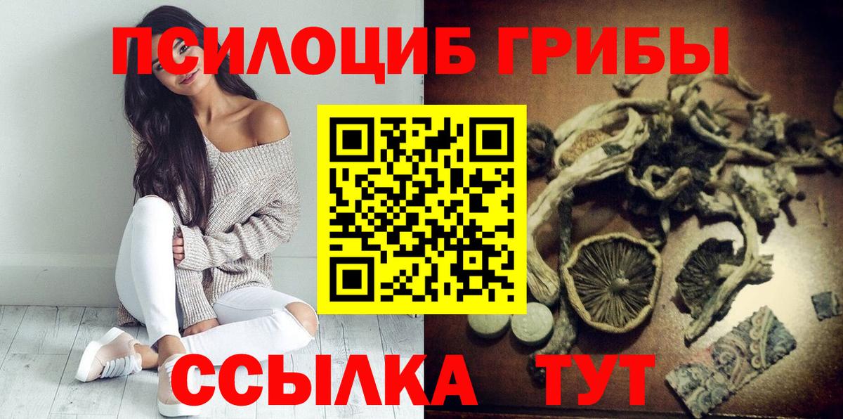 Псилоцибиновые грибы GOLDEN TEACHER Северск