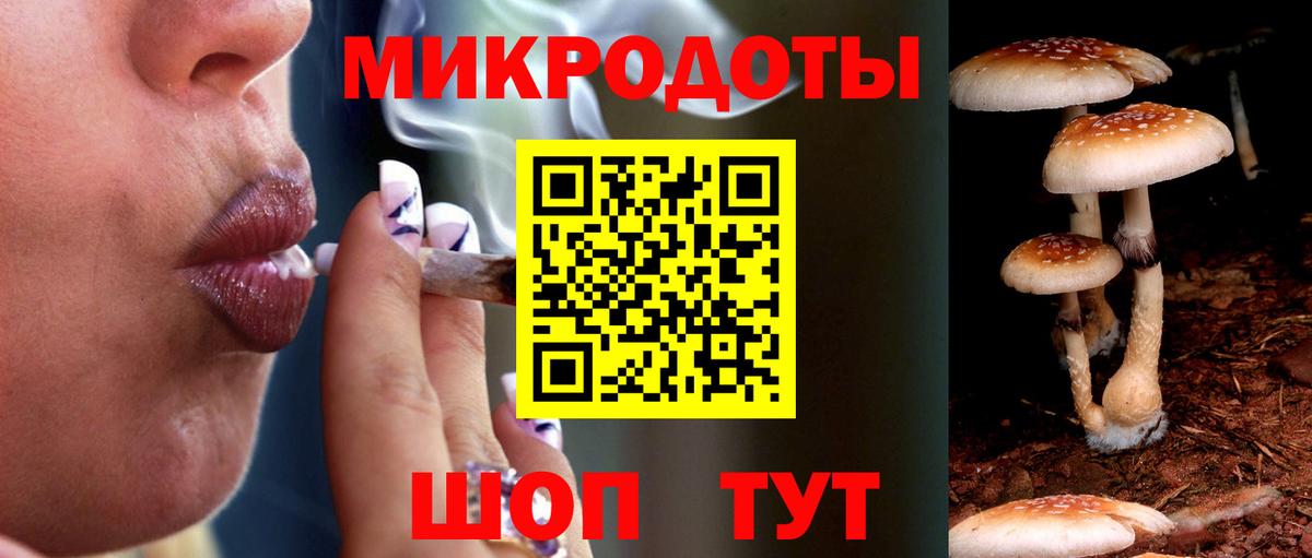 Псилоцибиновые грибы Psilocybe  Вход с VPN  Северск 